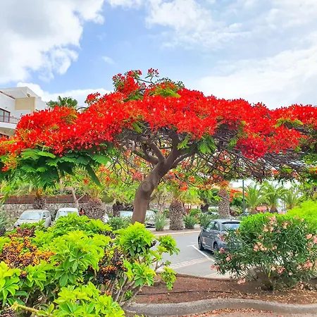 Ocean Gold Mar, 1br, Panoramic Terrace, Pool Apartment Palm-mar